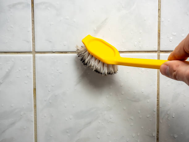 Best Preventive Mold Services in Lomira, WI
