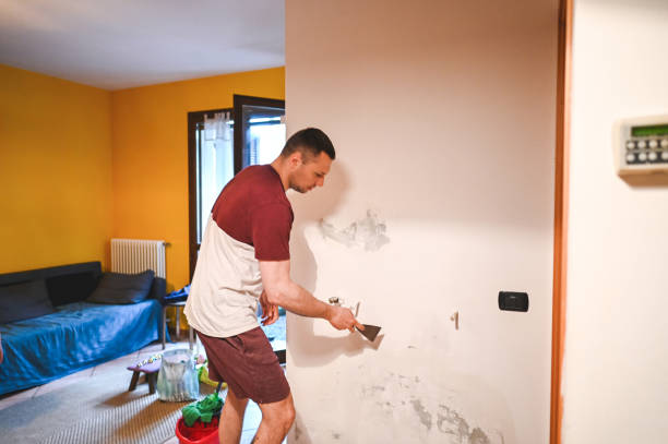 Best Industrial Mold Remediation in Lomira, WI
